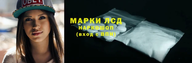 стафф Алексин