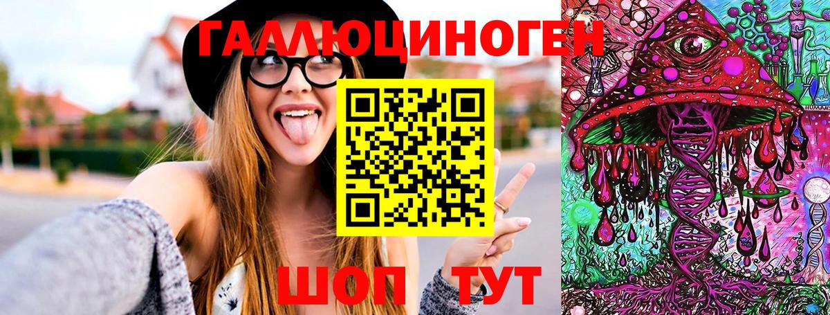 Большой Камень  Галлюциногенные грибы MAGIC MUSHROOMS  Вход с VPN  Псилоцибиновые грибы мухоморы 
